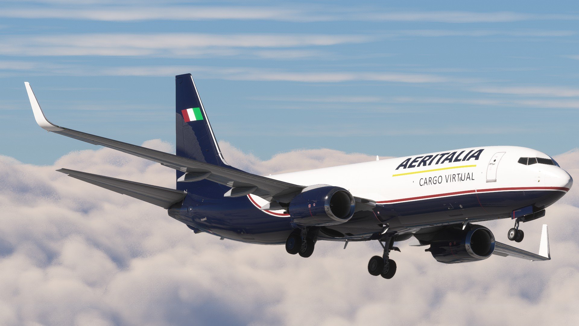 B737 Cargo • Cruise